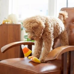 Frisco Halloween Candy Corn Plush Squeaky Dog Toy -Pet Supplies Discount Store 218619 PT6. AC SS1800 V1597599676