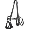 Frisco Front & Rear Lift Handicapped Support Dog Harness -Pet Supplies Discount Store 220372 MAIN. AC SS1800 V1596501363
