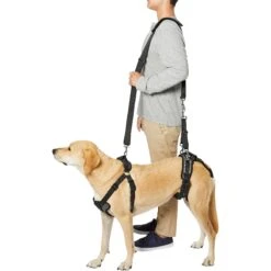 Frisco Front & Rear Lift Handicapped Support Dog Harness 12 Frisco Front & Rear Lift Handicapped Support Dog Harness -Pet Supplies Discount Store 220372 PT6. AC SS1800 V1605758261