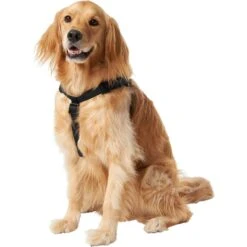 Frisco Nylon Step In Back Clip Dog Harness 9 Frisco Nylon Step In Back Clip Dog Harness -Pet Supplies Discount Store 220519 PT2. AC SS1800 V1605591714