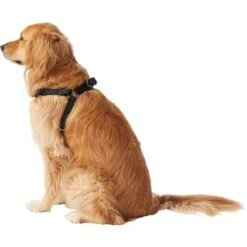 Frisco Nylon Step In Back Clip Dog Harness 10 Frisco Nylon Step In Back Clip Dog Harness -Pet Supplies Discount Store 220519 PT3. AC SS1800 V1605593555