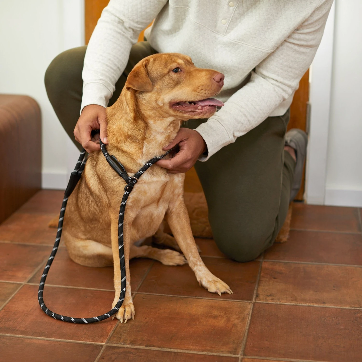 Frisco Reflective Rope Slip Lead Dog Leash 7 Frisco Reflective Rope Slip Lead Dog Leash - Image 5