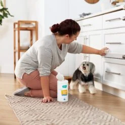 Frisco Vinegar Cleaning Wipes, 70 Count -Pet Supplies Discount Store 222151 PT4. AC SS1800 V1602847932