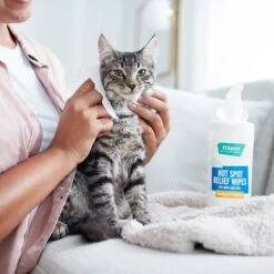 Frisco Hot Spot Relief Wipes -Pet Supplies Discount Store 222163 PT2. AC SS1800 V1602831392