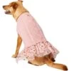 Frisco Cable Knit Dog & Cat Sweater Dress