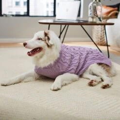 Frisco Bobble-Knit Dog & Cat Turtleneck Sweater -Pet Supplies Discount Store 223763 PT7. AC SS1800 V1599565272