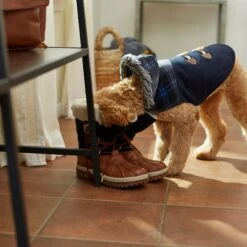 Frisco Plaid Hooded Insulated Dog & Cat Peacoat -Pet Supplies Discount Store 223874 PT8. AC SS1800 V1608826069