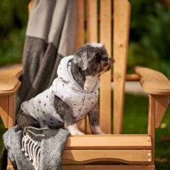 Frisco Mediumweight Silver Polka Dotted Insulated Dog & Cat Coat 15 Frisco Mediumweight Silver Polka Dotted Insulated Dog & Cat Coat -Pet Supplies Discount Store 224017 PT7. AC SS1800 V1601579462