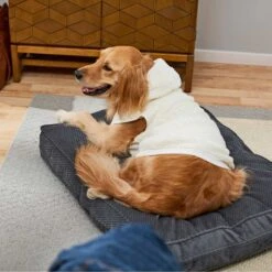 Frisco Plush Fur Dog & Cat Hoodie -Pet Supplies Discount Store 224209 PT7. AC SS1800 V1637685435