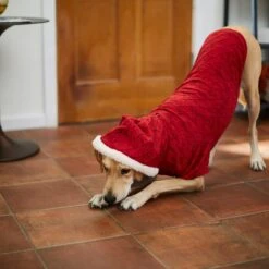 Frisco Textured Knit Dog & Cat Hoodie -Pet Supplies Discount Store 224233 PT7. AC SS1800 V1601578309