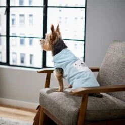 Frisco Mommy's Little Bear Dog & Cat Hoodie -Pet Supplies Discount Store 224272 PT7. AC SS1800 V1599924073