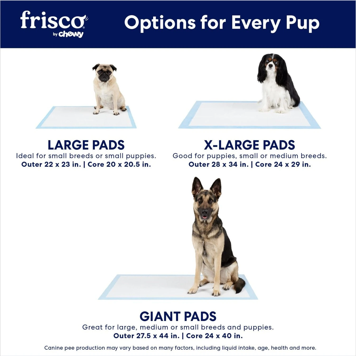 Frisco Large Eco-Conscious Dog Training & Potty Pads 6 Frisco Large Eco-Conscious Dog Training & Potty Pads - Image 4