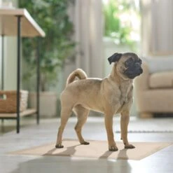 Frisco Large Eco-Conscious Dog Training & Potty Pads 17 Frisco Large Eco-Conscious Dog Training & Potty Pads -Pet Supplies Discount Store 227438 PT6. AC SS1800 V1674665619