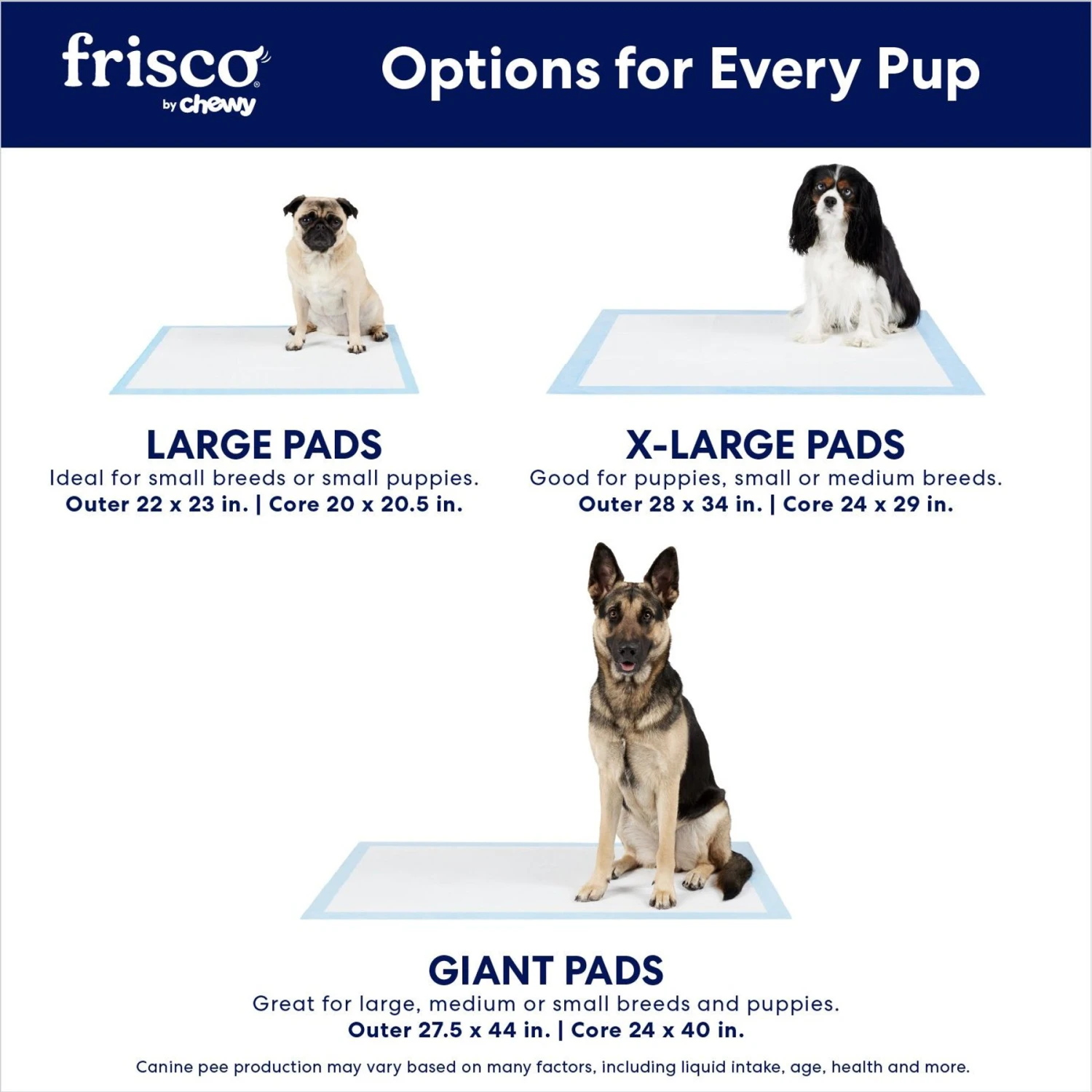 Frisco Extra Large Charcoal Dog Training & Potty Pads 6 Frisco Extra Large Charcoal Dog Training & Potty Pads - Image 4