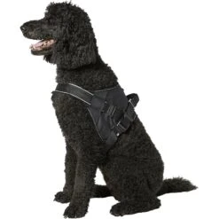Frisco Big Dog Harness 13 Frisco Big Dog Harness -Pet Supplies Discount Store 227877 PT4. AC SS1800 V1600307761