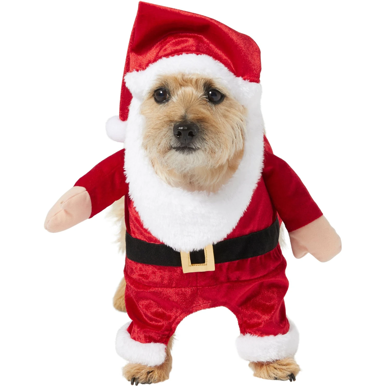 Frisco Front Walking Santa Dog & Cat Costume, 1 Count 3 Frisco Front Walking Santa Dog & Cat Costume, 1 Count