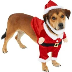 Frisco Front Walking Santa Dog & Cat Costume, 1 Count 11 Frisco Front Walking Santa Dog & Cat Costume, 1 Count -Pet Supplies Discount Store 228785 PT3. AC SS1800 V1631300866