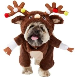 Frisco Front Walking Reindeer Dog & Cat Costume, 1 Count -Pet Supplies Discount Store 228790 PT2. AC SS1800 V1636731101