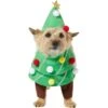 Frisco Front Walking Christmas Tree Dog & Cat Costume 1 Frisco Front Walking Christmas Tree Dog & Cat Costume -Pet Supplies Discount Store 229164 MAIN. AC SS1800 V1631300529