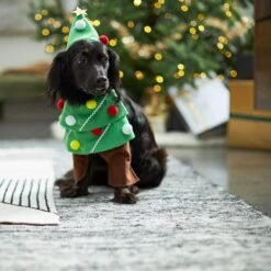 Frisco Front Walking Christmas Tree Dog & Cat Costume -Pet Supplies Discount Store 229164 PT7. AC SS1800 V1601385981