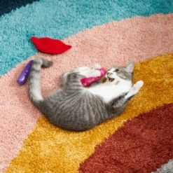 Frisco Retro Lip Gloss Plush Cat Toy With Catnip, 3 Count -Pet Supplies Discount Store 230274 PT3. AC SS1800 V1602639773