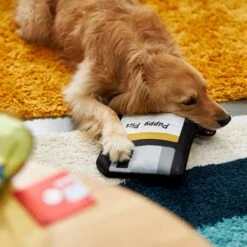 Frisco Retro Floppy Disc Ballistic Nylon Plush Squeaky Dog Toy -Pet Supplies Discount Store 230304 PT3. AC SS1800 V1602639753