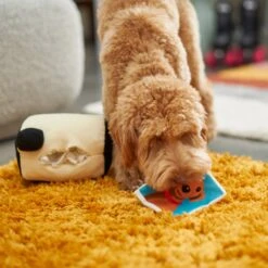 Frisco Retro Camera 2-in-1 Rip For Surprise Plush Squeaky Dog Toy 7 Frisco Retro Camera 2-in-1 Rip For Surprise Plush Squeaky Dog Toy -Pet Supplies Discount Store 230306 PT3. AC SS1800 V1602639779