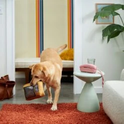 Frisco Retro Television Ballistic Nylon Plush Squeaky Dog Toy 7 Frisco Retro Television Ballistic Nylon Plush Squeaky Dog Toy -Pet Supplies Discount Store 230308 PT3. AC SS1800 V1601947325