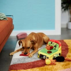 Frisco Retro Smack-a-Squirrel Hide & Seek Puzzle Plush Squeaky Dog Toy -Pet Supplies Discount Store 230313 PT3. AC SS1800 V1601947334