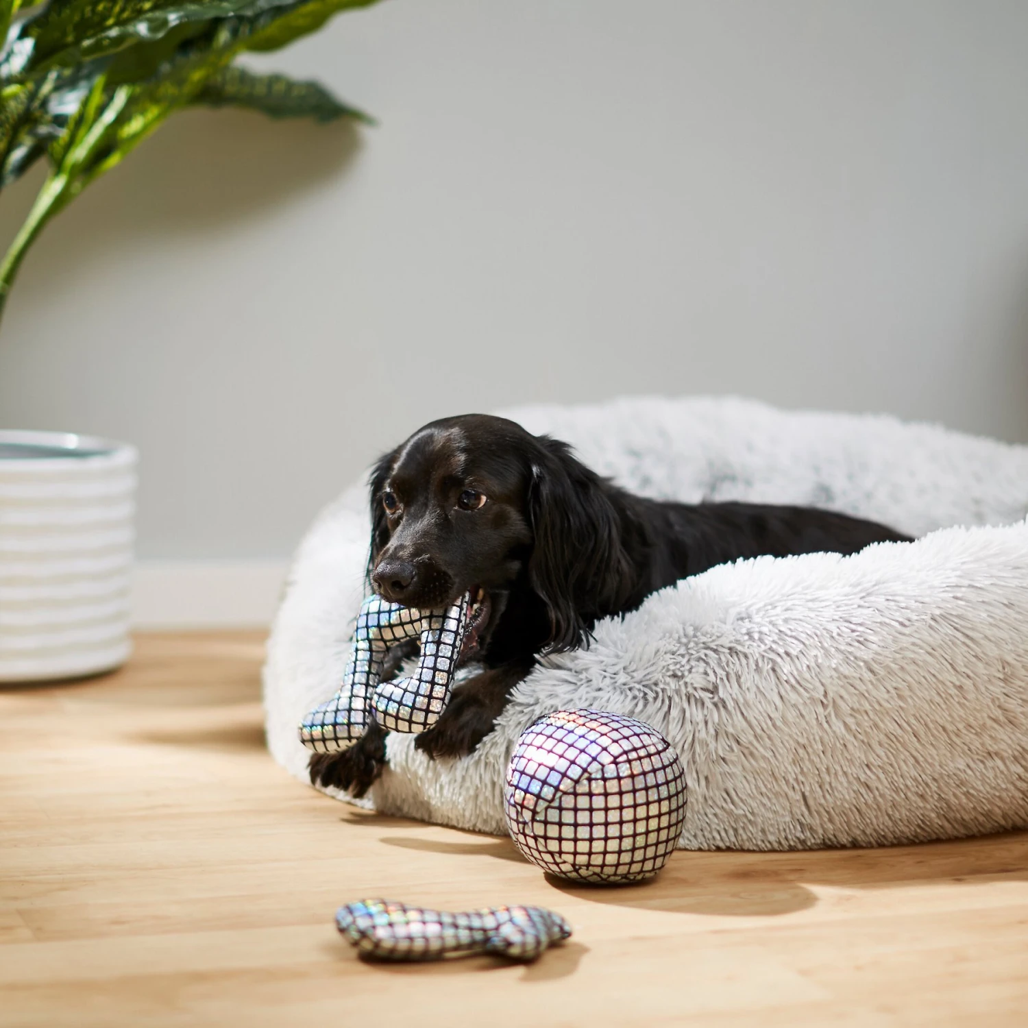 Frisco Retro Plush Squeaky Disco Dog Toy 5 Frisco Retro Plush Squeaky Disco Dog Toy - Image 3