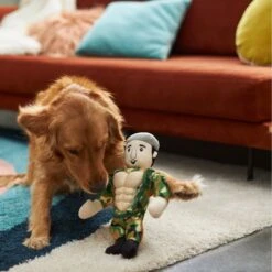 Frisco Retro Camo Hero Muscle Plush Squeaky Dog Toy -Pet Supplies Discount Store 230375 PT3. AC SS1800 V1602639726