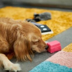 Frisco Retro Funky Van TPE Treat Dispenser Dog Toy, Medium/Large -Pet Supplies Discount Store 230383 PT4. AC SS1800 V1669908614