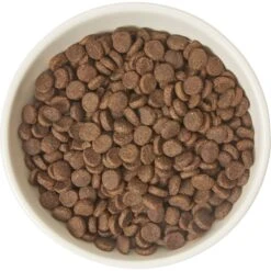 Frisco Double-Sided Ceramic Elevated Cat Bowl 11 Frisco Double-Sided Ceramic Elevated Cat Bowl -Pet Supplies Discount Store 232081 PT3. AC SS1800 V1605145964