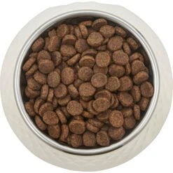 Frisco Hammered Melamine Stainless Steel Dog Bowl -Pet Supplies Discount Store 232083 PT3. AC SS1800 V1609885089