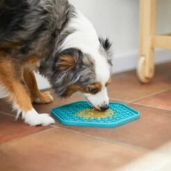 Frisco Silicone Treat Lick Mat -Pet Supplies Discount Store 232099 PT7. AC SS1800 V1605739324