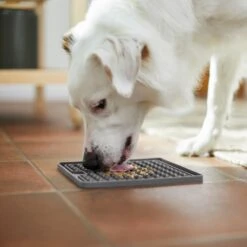 Frisco Silicone Treat Lick Mat -Pet Supplies Discount Store 232099 PT8. AC SS1800 V1605746823