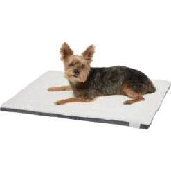 Frisco Self Warming Pillow Rectangular Pet Bed -Pet Supplies Discount Store 232177 PT2. AC SS1800 V1600351596