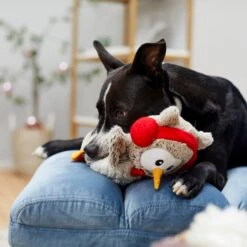 Frisco Holiday Owl Plush Squeaky Dog Toy 10 Frisco Holiday Owl Plush Squeaky Dog Toy -Pet Supplies Discount Store 233160 PT2. AC SS1800 V1601304724