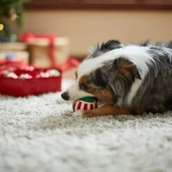 Frisco Holiday Wreath Fetch Squeaky Tennis Ball Dog Toy -Pet Supplies Discount Store 233189 PT3. AC SS1800 V1665759769