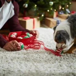 Frisco Holiday Wreath Fetch Squeaky Tennis Ball Dog Toy -Pet Supplies Discount Store 233189 PT5. AC SS1800 V1601919657