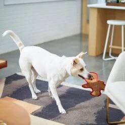 Frisco Holiday Gingerbread Man Flat Plush Squeaky Dog Toy -Pet Supplies Discount Store 233241 PT2. AC SS1800 V1601311903