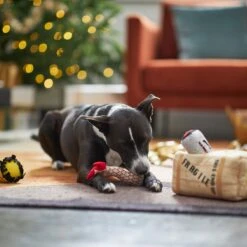 Frisco Holiday Fragile Box Hide & Seek Puzzle Plush Squeaky Dog Toy -Pet Supplies Discount Store 233274 PT4. AC SS1800 V1665759767