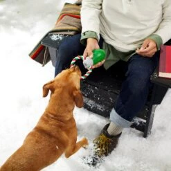 Frisco Holiday Christmas Light Rope With TPR Squeaky Dog Toy 9 Frisco Holiday Christmas Light Rope With TPR Squeaky Dog Toy -Pet Supplies Discount Store 233278 PT2. AC SS1800 V1601641574