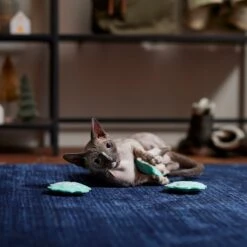 Frisco Snowflake Plush Cat Toy With Catnip, 3 Count -Pet Supplies Discount Store 233285 PT3. AC SS1800 V1661874178