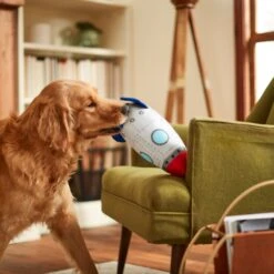 Frisco Ballistic Nylon Plush Squeaky Rocket Ship Dog Toy -Pet Supplies Discount Store 233581 PT3. AC SS1800 V1600973767