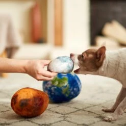 Frisco Earth, Mars, And Moon Plush Squeaky Dog Toy 7 Frisco Earth, Mars, And Moon Plush Squeaky Dog Toy -Pet Supplies Discount Store 233587 PT3. AC SS1800 V1600973771