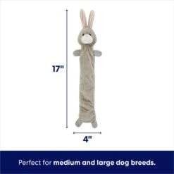 Frisco Bunny Bungee Plush Squeaky Dog Toy 9 Frisco Bunny Bungee Plush Squeaky Dog Toy -Pet Supplies Discount Store 233612 PT1. AC SS1800 V1691784031