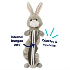 Frisco Bunny Bungee Plush Squeaky Dog Toy 10 Frisco Bunny Bungee Plush Squeaky Dog Toy -Pet Supplies Discount Store 233612 PT2. AC SS1800 V1691784247