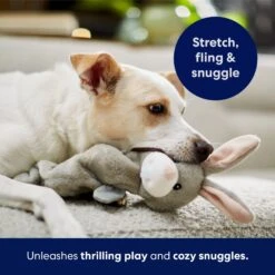 Frisco Bunny Bungee Plush Squeaky Dog Toy 12 Frisco Bunny Bungee Plush Squeaky Dog Toy -Pet Supplies Discount Store 233612 PT5. AC SS1800 V1691783971