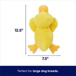 Frisco Duck Plush Squeaky Dog Toy -Pet Supplies Discount Store 233613 PT1. AC SS1800 V1695671062